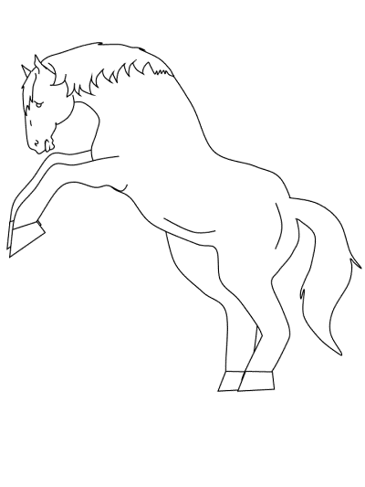 horse rearing