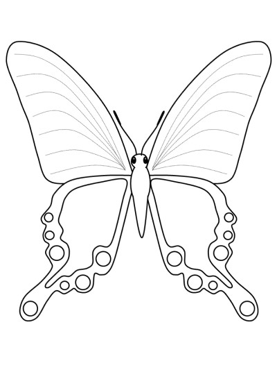 butterfly coloring page