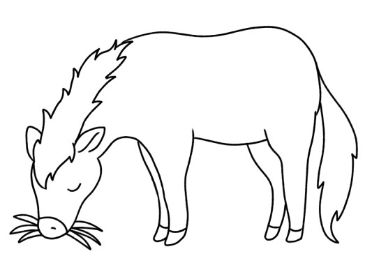 horse coloring page