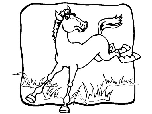 horse coloring page