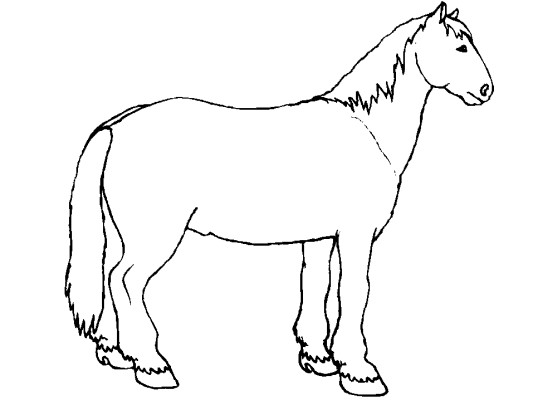 horse coloring page