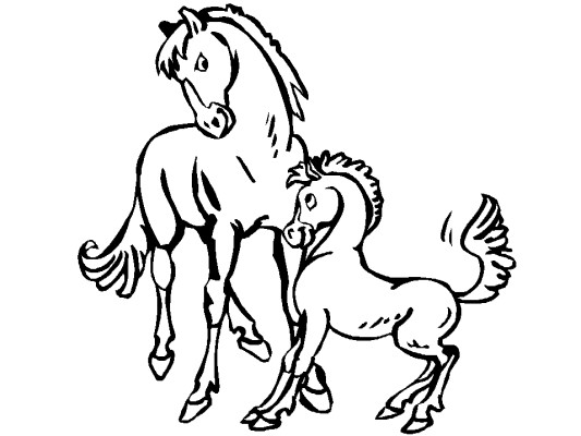 horse coloring page