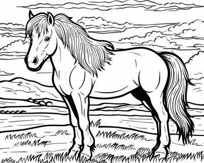 coloring page of a Welsh pony